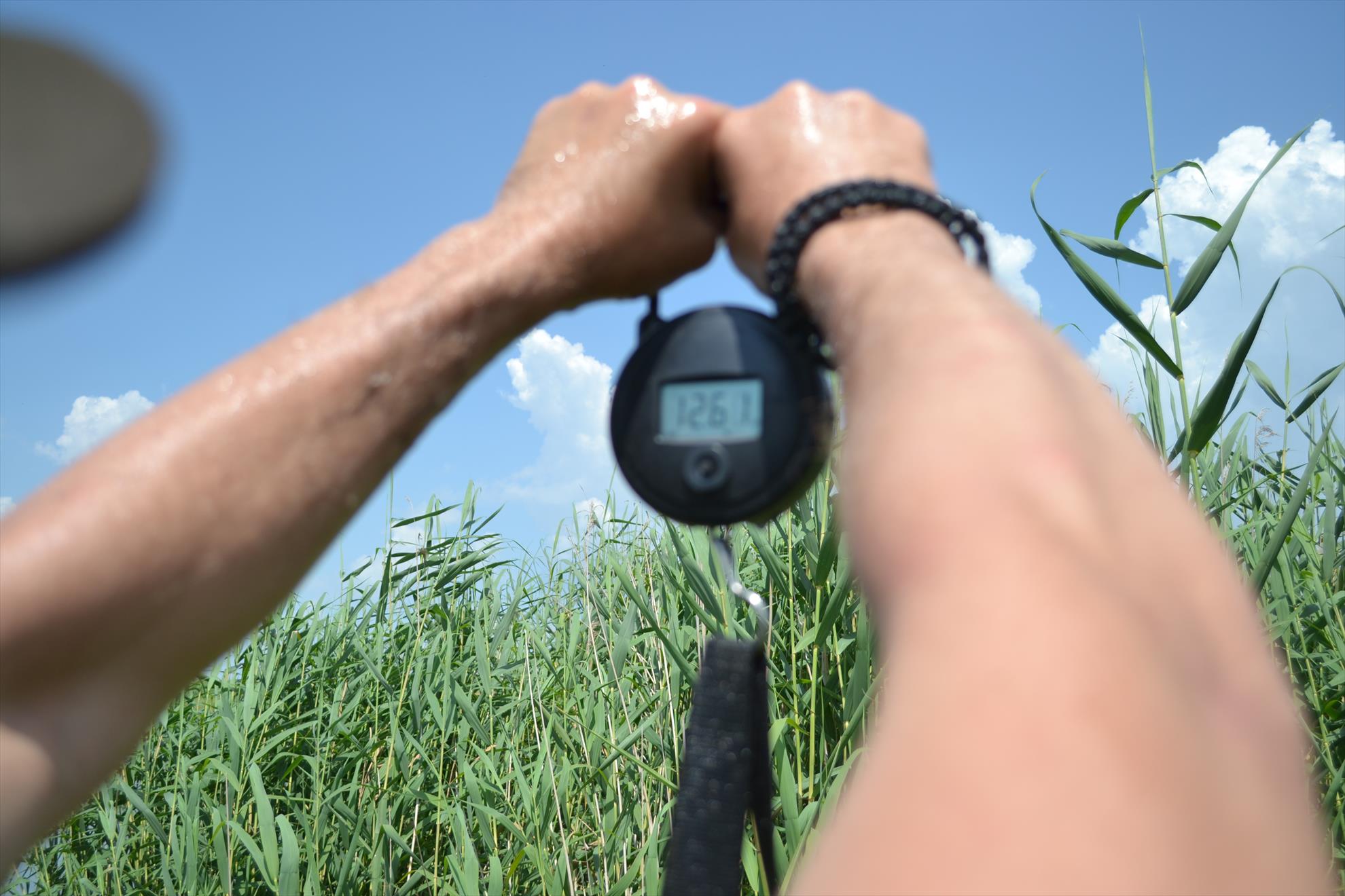 Pescuit Balta Lazar 6-8 iunie 2014 - dsc0048.JPG